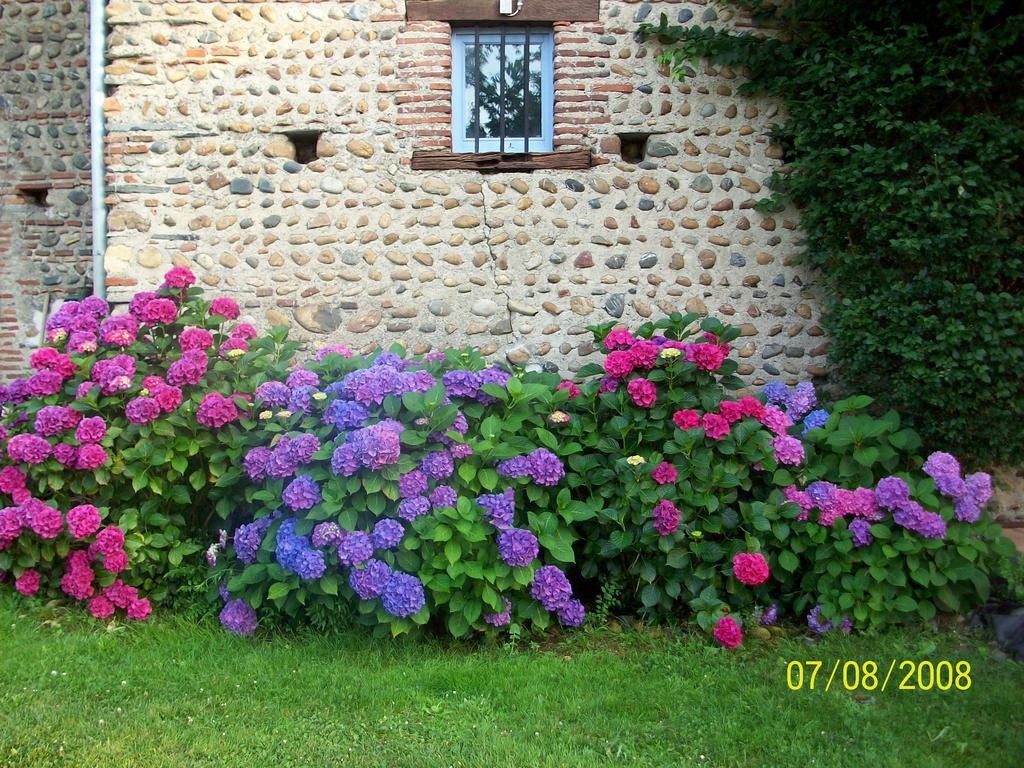 La Maison D'Anais Vic-en-Bigorre Exterior photo